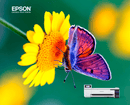 Epson Sublimation Printer Epson SureColor F570 Pro Dye-Sublimation Printer