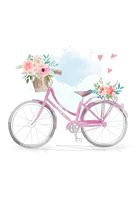 GPI Supplies Graphic Image BIKE Design