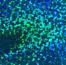 ProPeel Media 1yd / 24" / Aqua Sequins ProPeel Holographic Adhesive Backed Film - 24"