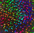 ProPeel Media 1yd / 24" / Midnight Sequins ProPeel Holographic Adhesive Backed Film - 24"