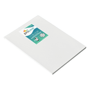 STS DTF Film Propeel UV Transfer Film
