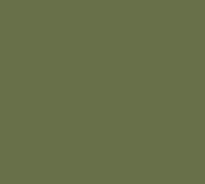 Siser EasyWeed 15" Vinyl - Green Olive