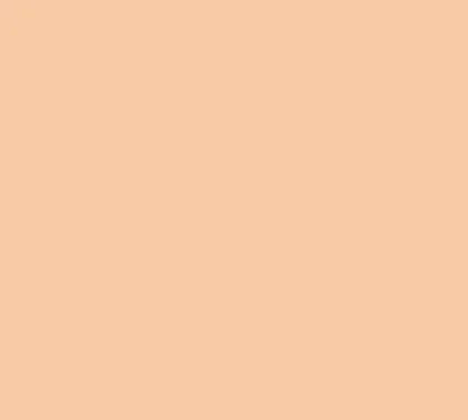 Siser EasyWeed 15" Vinyl - Light Apricot