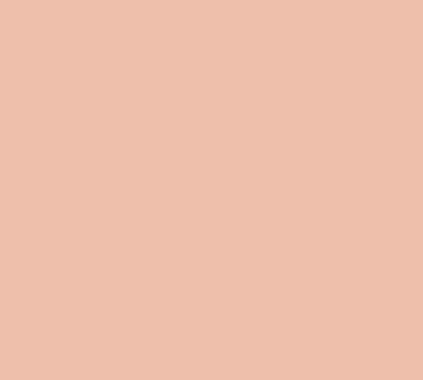 Siser EasyWeed 15" Vinyl - Pale Peach