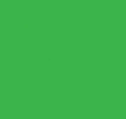 Thermoflex Media Emerald Green - 10 yards ThermoFlex Plus 20" Rolls CLOSE OUT