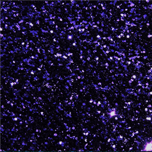 Thermoflex Media GlitterFlex Ultra 20" 1 Yd