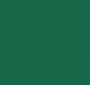 Thermoflex Media Kelly Green - 7 yards ThermoFlex Plus 20" Rolls CLOSE OUT