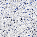 Thermoflex Media White / Royal Blue GlitterFlex Ultra 20" 1 Yd